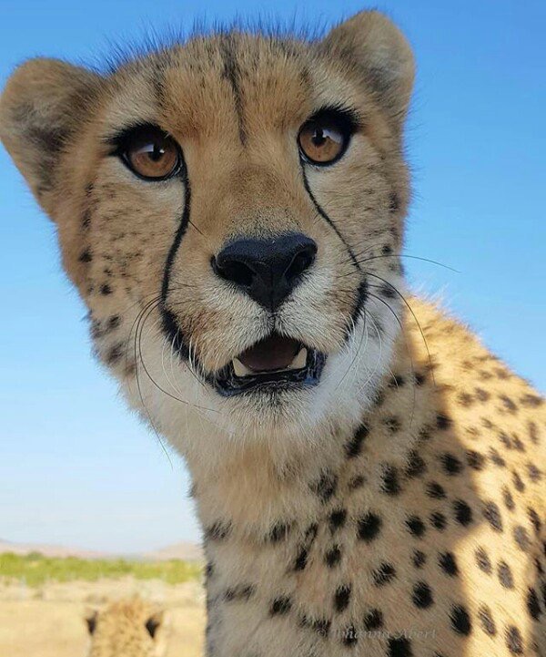 F223A7AF-722B-4F8E-8357-1E24DD5DF0A4